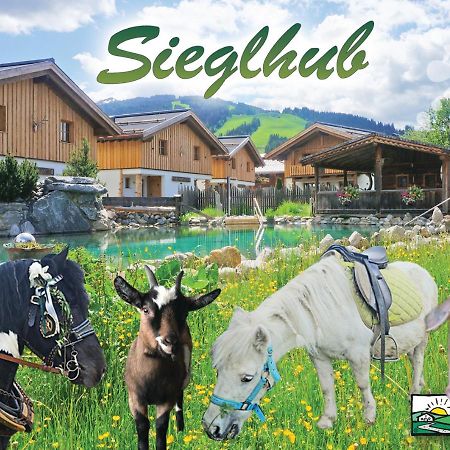Sieglhub Chalets - Appartements - Hotel Флахау Экстерьер фото